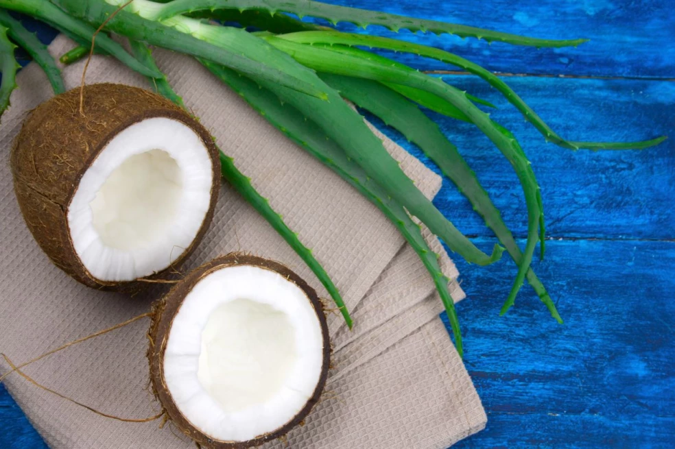 aloe vera a kokosový olej