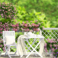 Jak se na jaře starat o balkonové květiny, aby kvetly až do konce podzimu?