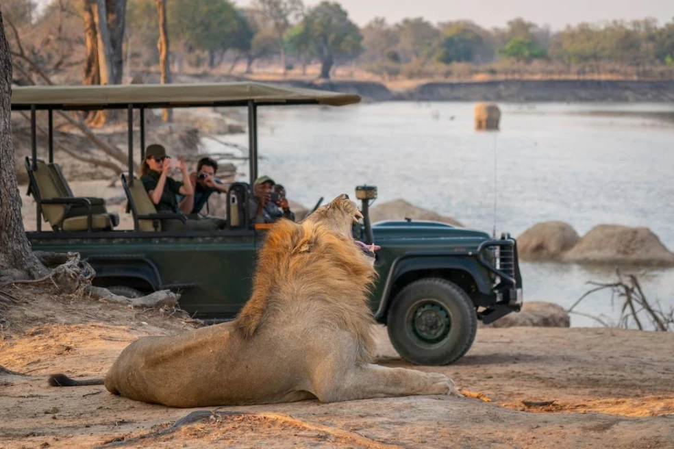 Africké safari