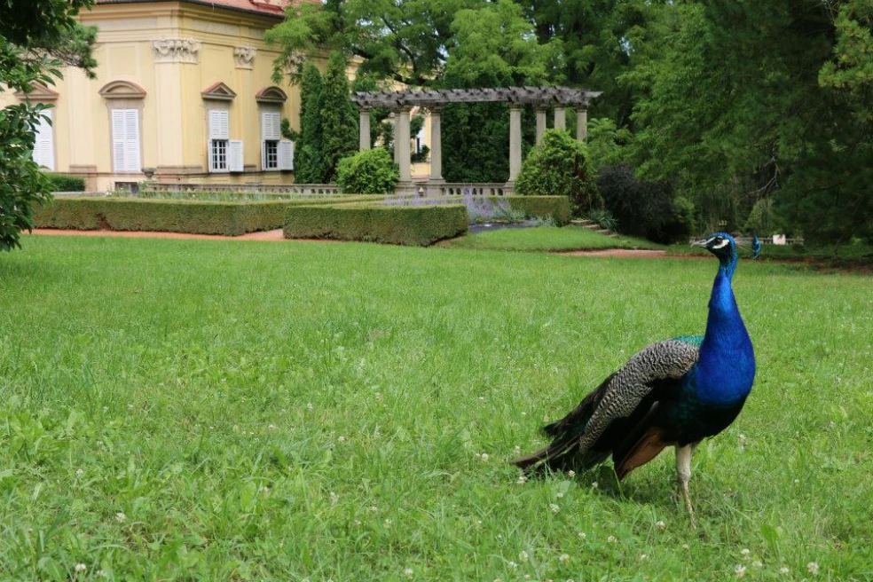 Potulky po ČR - Zámek Buchlovice