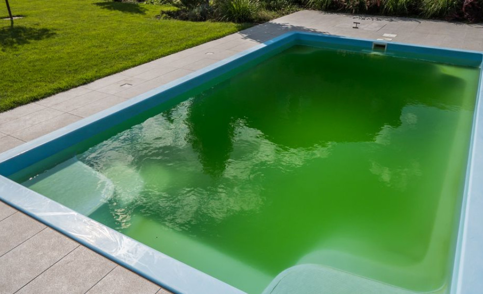čištění zelené vody v bazénu