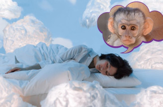 Opice ve snu: Co znamená, když vás kousne? Takový význam má sen o malých opicích