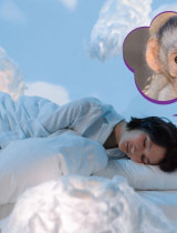 Opice ve snu: Co znamená, když vás kousne? Takový význam má sen o malých opicích