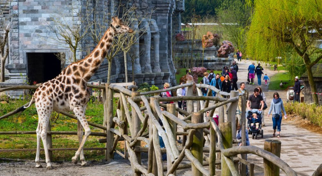 Nejlepší Zoo v Evropě