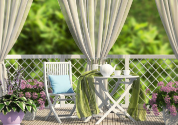 Květiny na stinný balkon: Tyto jsou nejvděčnější a milující stín!