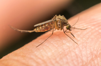 Co je malárie a jak se před ní chránit? Vše, co potřebujete vědět