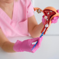 Cytologie děložního čípku: Proč by ji ženy neměly odkládat?