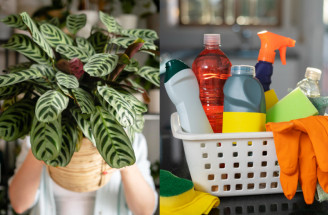 10 nenápadných hrozeb v domácnosti, které často přehlížíme – a představují zdravotní riziko!