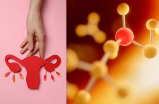 Luteinizační hormon v ženském těle – co způsobuje jeho nízká nebo vysoká hladina?