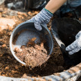 Přírodní hnojiva z kuchyně: Pomohou vám připravit půdu na podzim!
