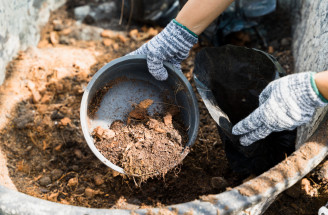 Přírodní hnojiva z kuchyně: Pomohou vám připravit půdu na podzim!