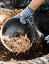 Přírodní hnojiva z kuchyně: Pomohou vám připravit půdu na podzim!