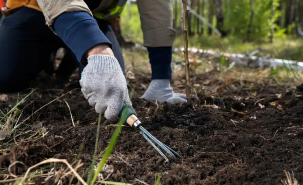 péče o půdu před zimou