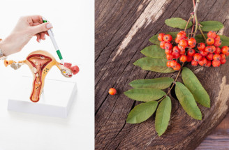 Berberin jako přírodní pomocník při syndromu polycystických ovarií? Objevte jeho účinky