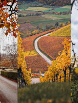 5 evropských měst, která musíš během podzimu navštívit alespoň jednou