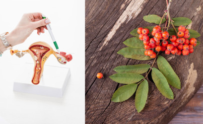 Berberin jako přírodní pomocník při syndromu polycystických ovarií? Objevte jeho účinky