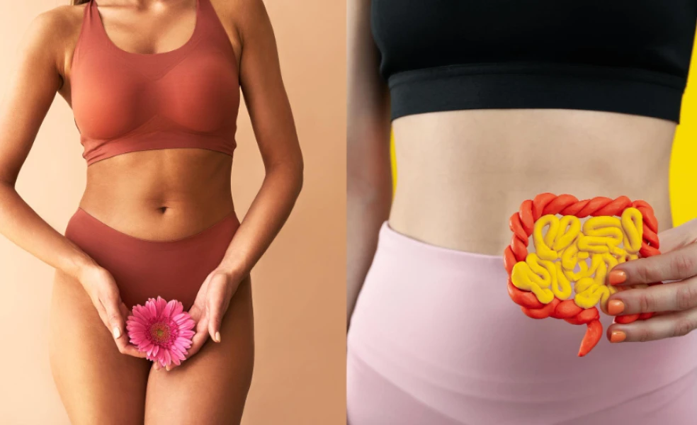 Propojení mezi vaginálním a střevním mikrobiomem