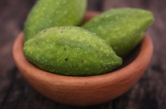 Haritaki (Terminalia chebula): Poklad ájurvédy pro zdravé trávení i mozek