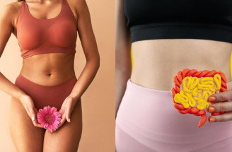 Propojení důležitých mikrobiomů: Jaká je souvislost mezi vaginálním zdravím a střevy?