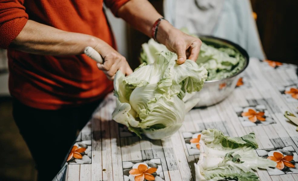 Obklad ze zelných listů