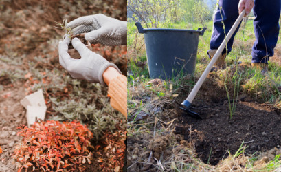 Jak připravit zahradu na zimu: Sběr semínek, zazimování a úkryt pro rostliny
