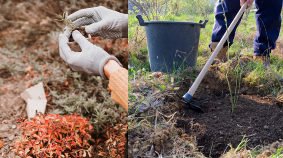 Jak připravit zahradu na zimu: Sběr semínek, zazimování a úkryt pro rostliny