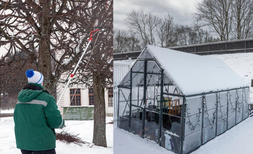 Příprava zahrady před zimou