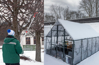 Zahradnický reset: Co udělat před koncem roku?