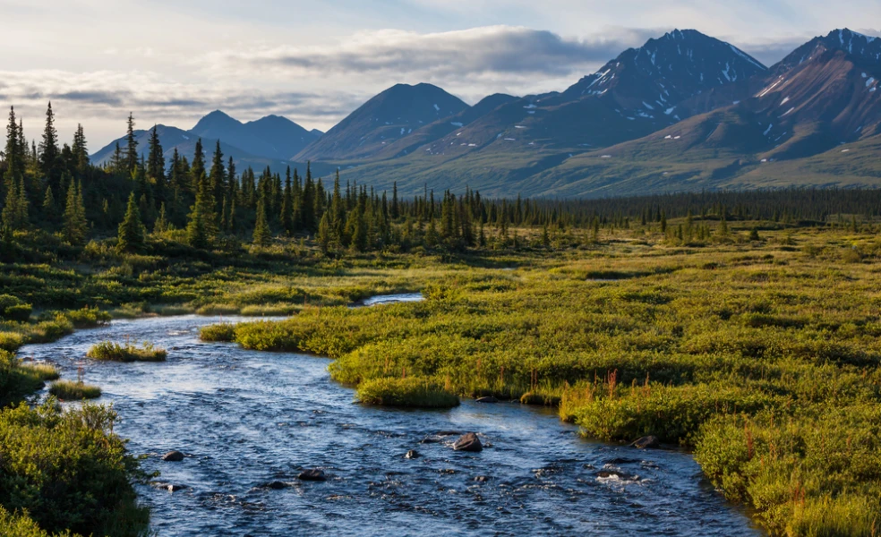 zajímavá fakta o Aljašce