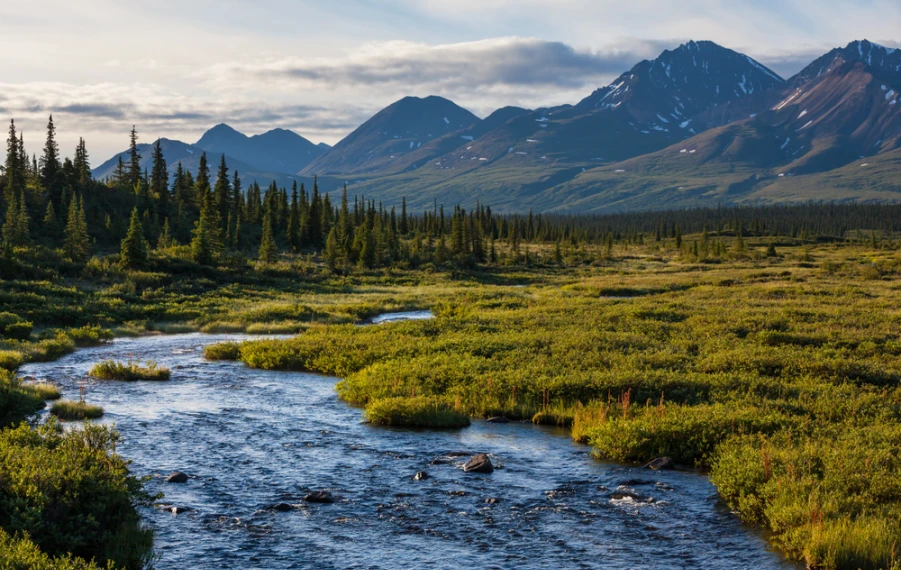zajímavá fakta o Aljašce