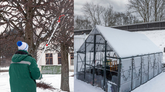 Zahradnický reset: Co udělat před koncem roku?