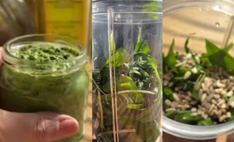 Domácí pesto z medvědího česneku recept jarní bylinky