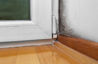 Plíseň v rohu místnosti: Proč vzniká i při větrání a jak se jí zbavit