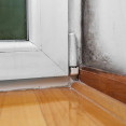Plíseň v rohu místnosti: Proč vzniká i při větrání a jak se jí zbavit