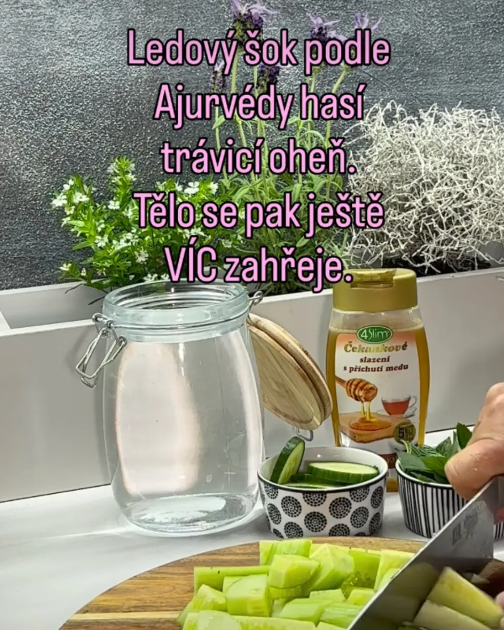 letní nápoje