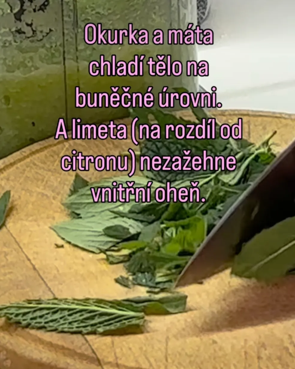 hydratace v létě