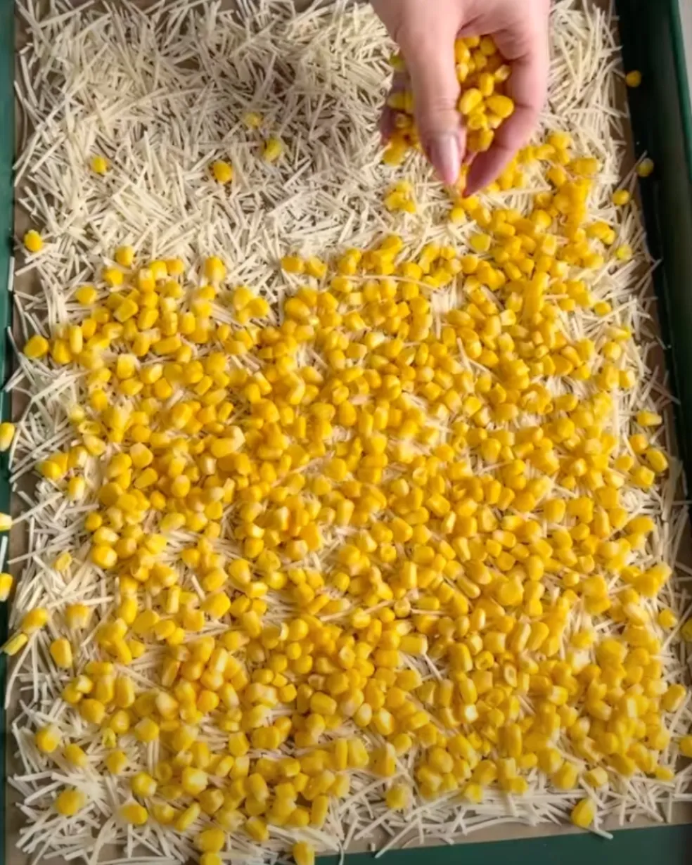 Osušená zrna mražené kukuřice nasypaná na vrstvě parmezánu na plechu