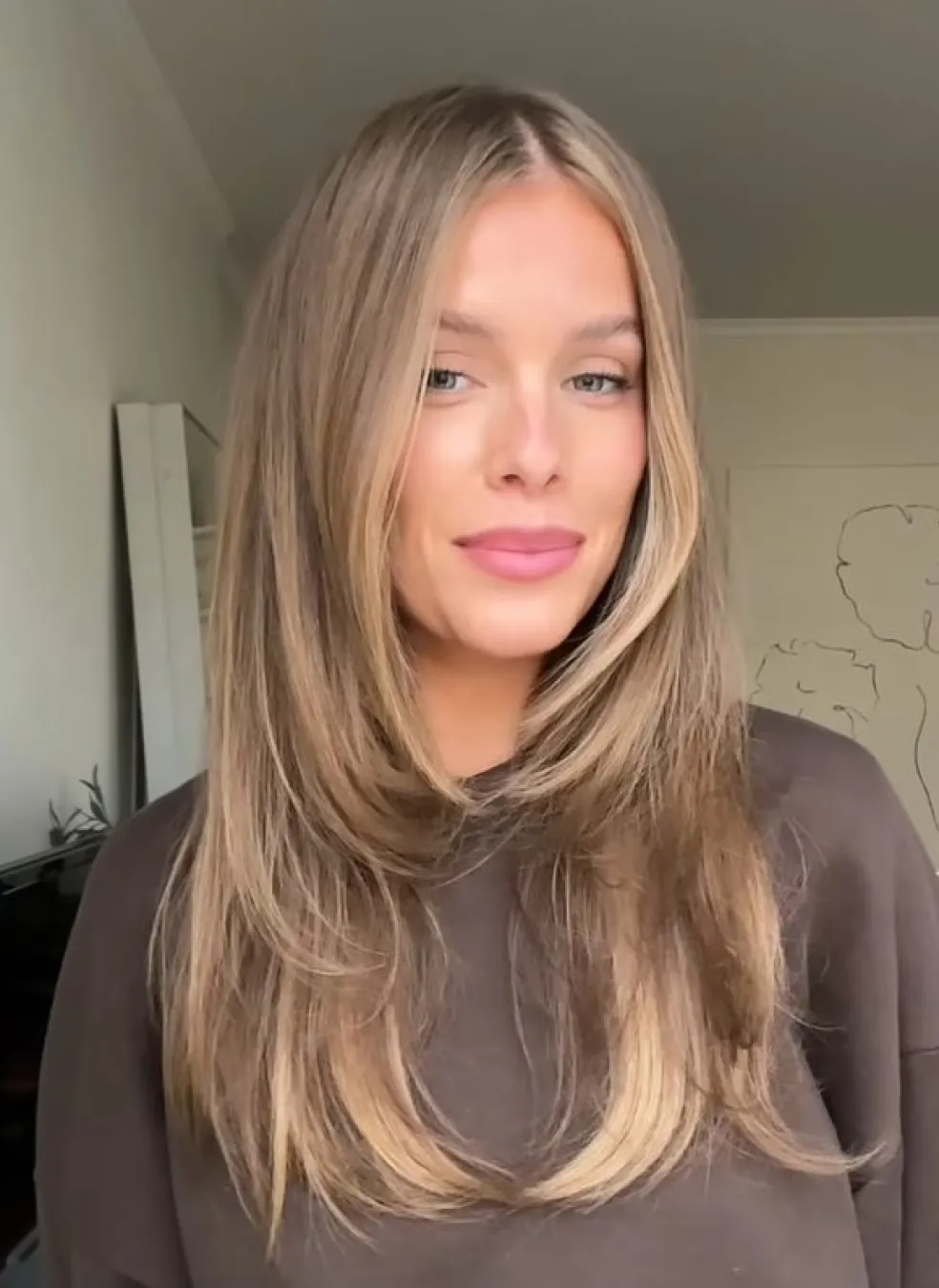 face-framing layers s jemnými vrstvami vlasů rámujícími obličej