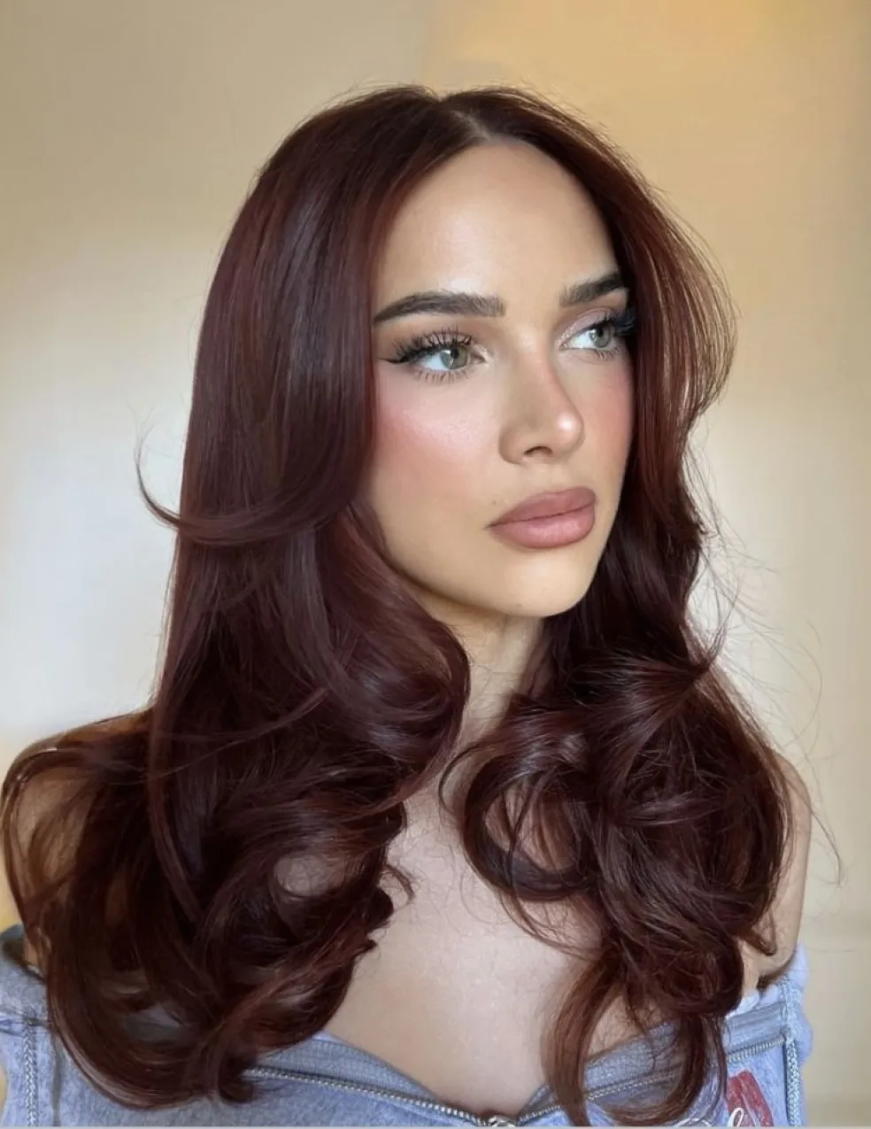 Lesklá tmavě červená barva vlasů pro brunetky